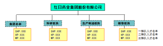 梯隊(duì)人才架構(gòu)圖